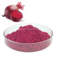 Beetroot Extract  25% Betaine Nitrate